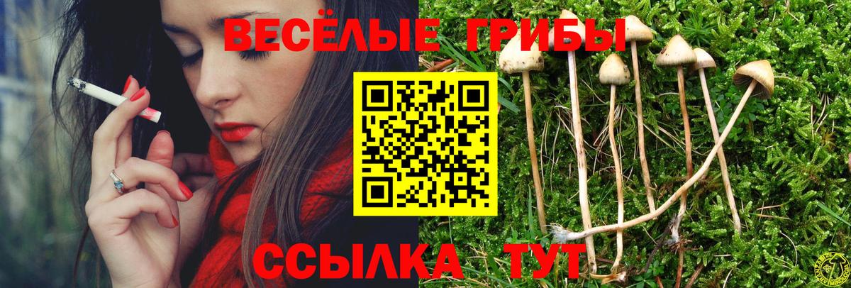 Галлюциногенные грибы ЛСД  Галлюциногенные грибы мицелий  Вход с VPN  Азов 